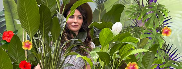 Trópusi sikk: az álmok kertje