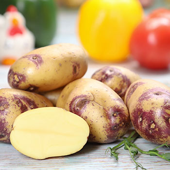 Vetőburgonya fehér hússal