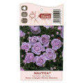 Rózsa floribunda Nautica®, C5 kép 4 termék 6150