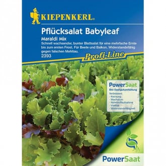 Saláta Babyleaf, keverék kép 6