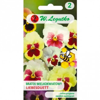 Árvácskák nagy virágokkal fehér Legutko kép 1
