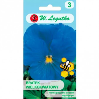 Árvácskák nagy virágokkal Sky Blue Legutko kép 3