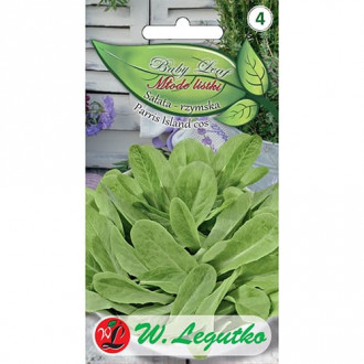Baby Leaf - Római saláta Paris Island kép 6