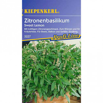 Bazsalikom Sweet Lemon kép 4
