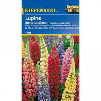 Csillagfürt Colorfull, mix Kiepenkerl kép 5