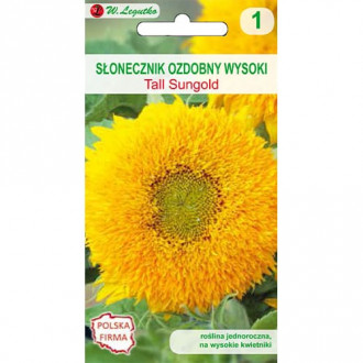 Dísz napraforgó Sungold Tall kép 5