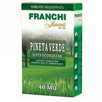 Gyep Franchi magok Pineta Verde kép 6