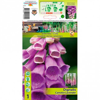 Gyűszűvirág (Digitalis) Camellot Lavender kép 3