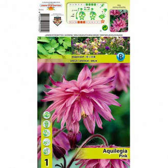 Harangláb (Aquilegia) Pink kép 6