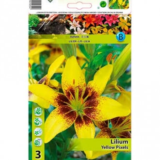 Liliom Yellow Pixels kép 1