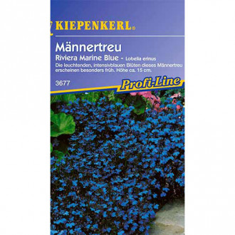 Lobélia Riviera Marine Blue Kiepenkerl kép 4