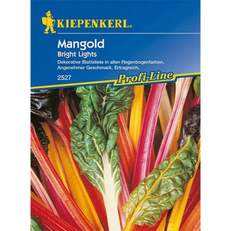 Mangold Bright Lights kép 1