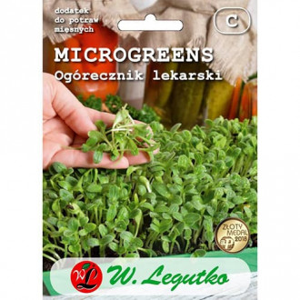Mikronövények - Borágó kép 6