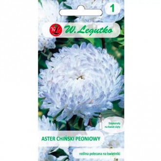 Őszirózsa kerti bazsarózsa fehér-kék Legutko kép 6