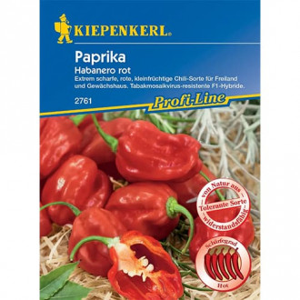 Csípős paprika Habanero Red kép 5