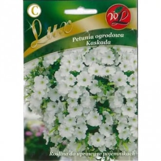 Petunia Kaskada fehér kép 6
