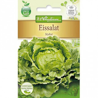 Saláta iceberg Stylist kép 1