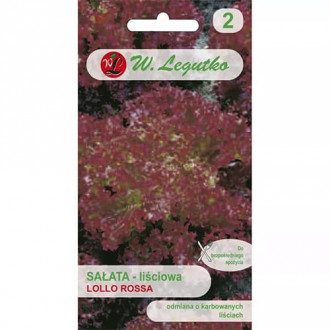 Saláta leveles Lollo Rossa kép 1