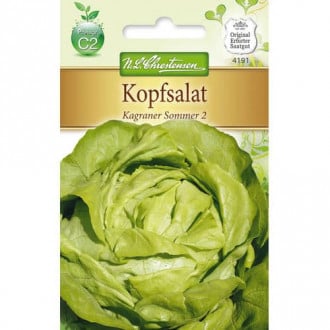 Saláta zöld Kagraner Sommer 2 kép 4