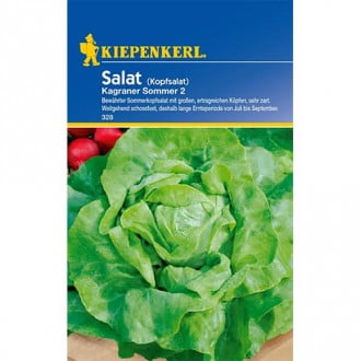 Saláta zöld Kagraner Summer 2 kép 3