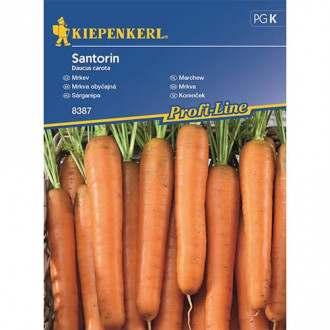 Sárgarépa Santorin F1 kép 3