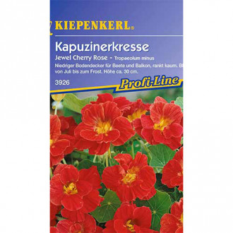 Sarkantyúvirág Jewel Cherry Rose Kiepenkerl kép 1