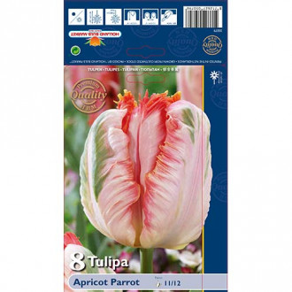 Tulipán Apricot kép 5