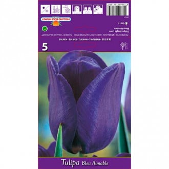 Tulipán Blue Aimable kép 6