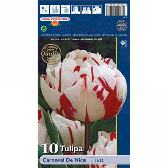 Tulipán Carnaval de Nice kép 2