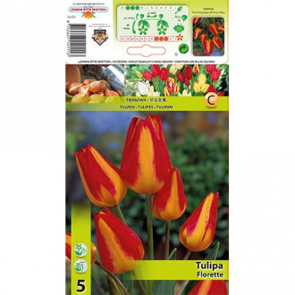 Tulipán Florette kép 2