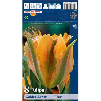 Tulipán Golden Artist kép 2