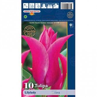 Tulipán Lilylady kép 3