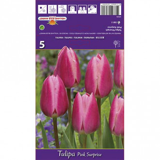 Tulipán Pink Surprise kép 2