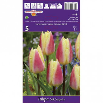 Tulipán Silk Surprise kép 6