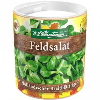 Vetőkészlet salátagalambbegy Hollandischer Breitblattriger kép 2