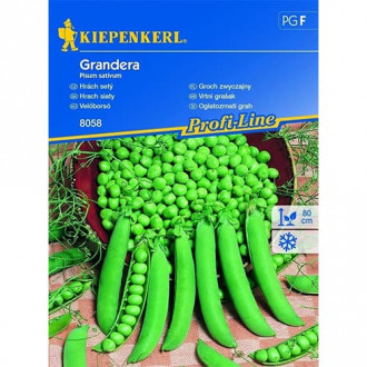 Zöldborsó Grandera fotó 12 Zöldborsó Grandera kép 12