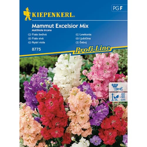 Vajszínű ördögszem Mamut, színkeverék kép 1 termék 96558