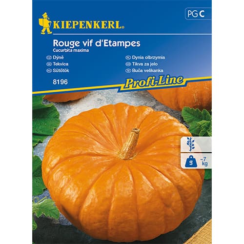 Tök Rouge vif d'Etampes kép 1 termék 86472