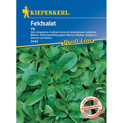 Saláta Vit termék fotó 1 Saláta Vit kép 1 termék 77495