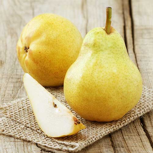 Körte Highland kép 1 termék 7952