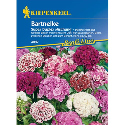 Szegfű Duplika kép 1 termék 86250