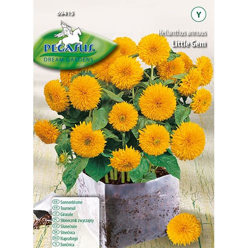 Napraforgó Little Gem Kiepenkerl kép 1 termék 96578