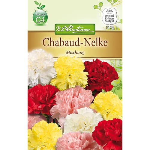 Szegfű, színkeverék kép 1 termék 78909