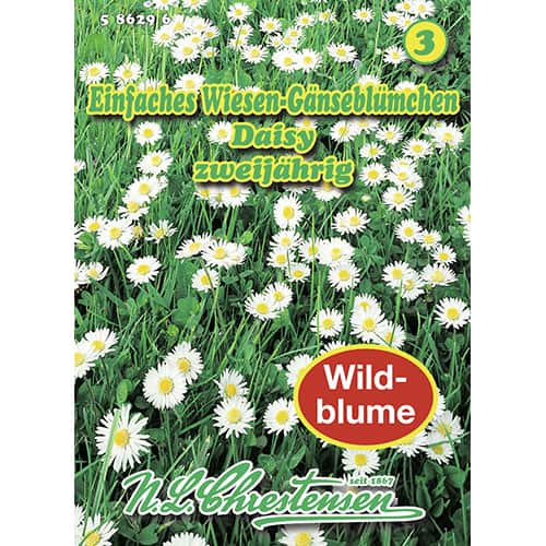 Százszorszép Daisy kép 1 termék 87801