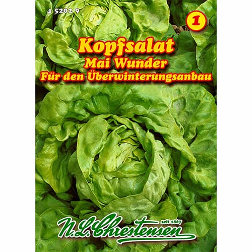 Saláta Mai Wunder termék fotó 1 Saláta Mai Wunder kép 1 termék 96479