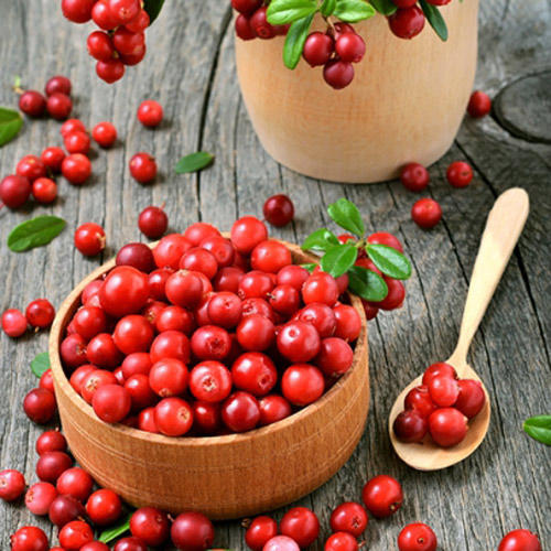 Áfonya Koralle kép 2 termék 9207