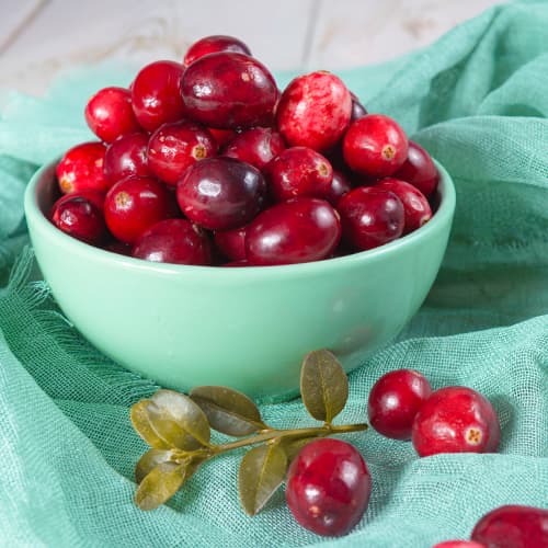 Áfonya Piligrim, P9 termék fotó 1 Áfonya Piligrim, P9 kép 1 termék 9311