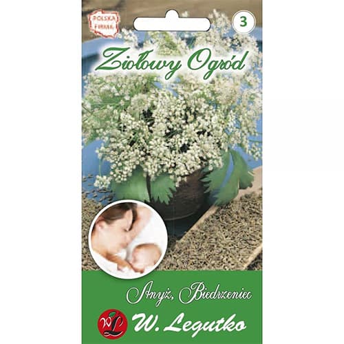 Ánizs kép 1 termék 69664