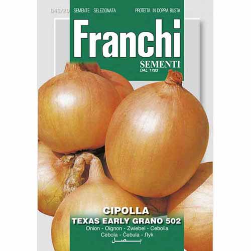 Aranyhagyma Texas Early Grano 502 kép 1 termék 87148