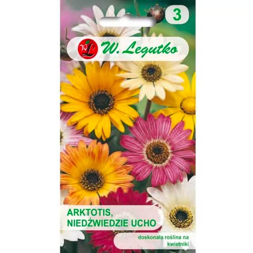 Arktotis (medvefül), színkeverék Legutko kép 1 termék 69555